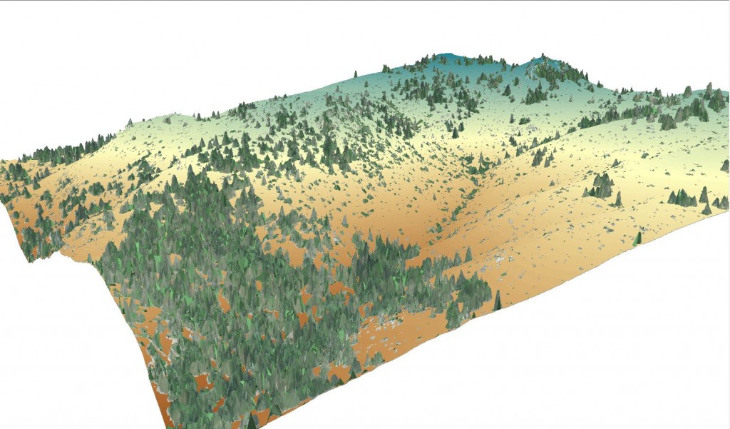 2-vegetation extraction