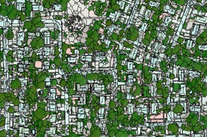 canopy classification